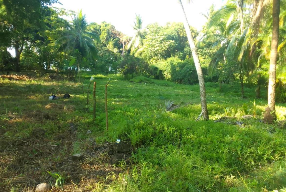 1ed18193-650e-4f73-b591-1ced19bb54a7