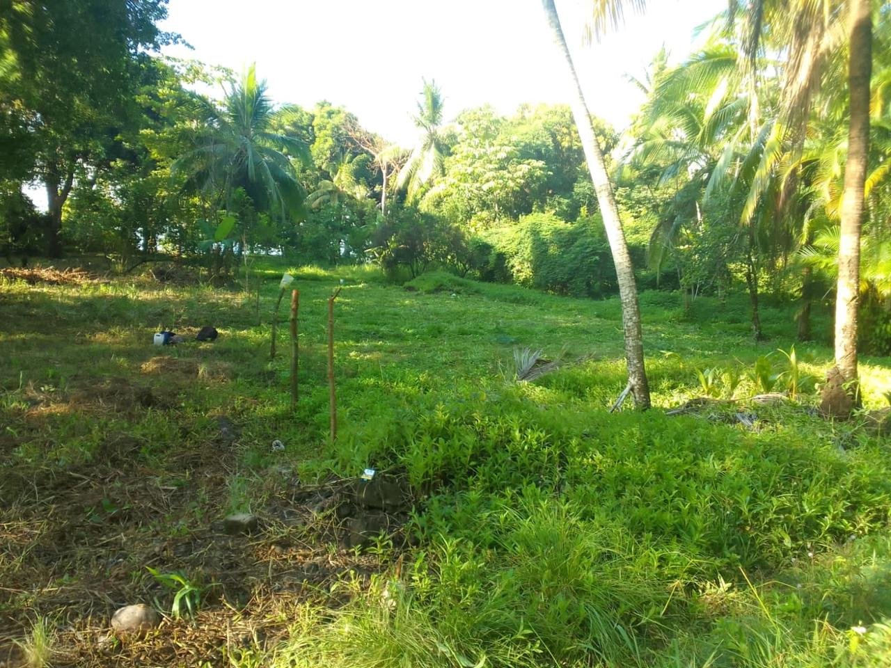 1ed18193-650e-4f73-b591-1ced19bb54a7