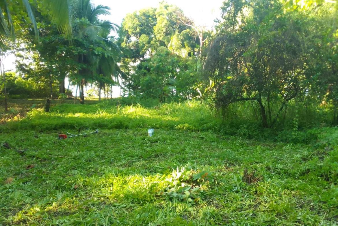 1ed5cd5a-4147-4c95-9d72-2a953d951641