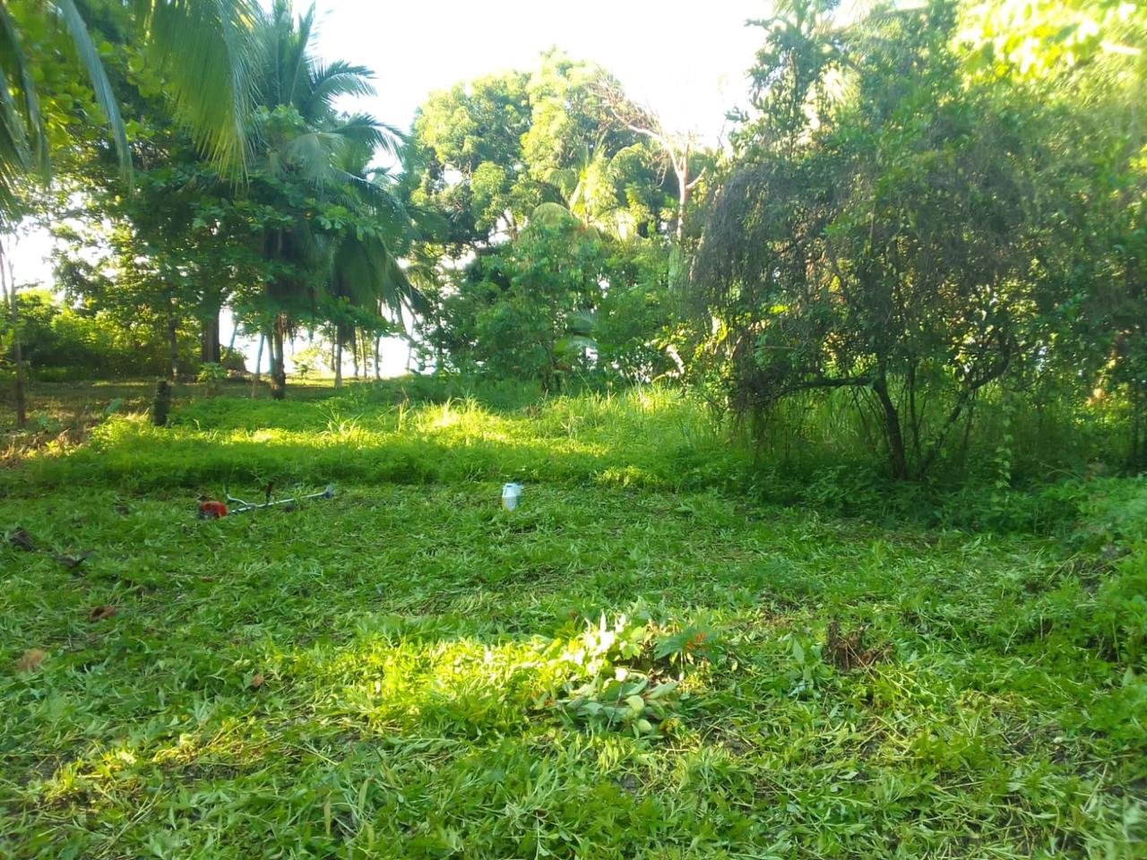 1ed5cd5a-4147-4c95-9d72-2a953d951641