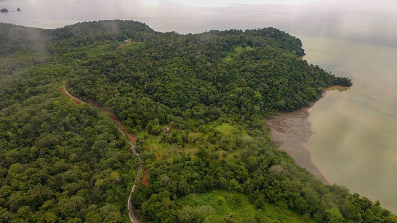 3ed4d900-303e-488f-9be6-434f59c59b5d