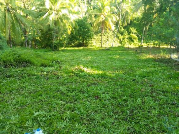 4a1c5636-ef86-4ae0-98a1-043c1d4f57a9