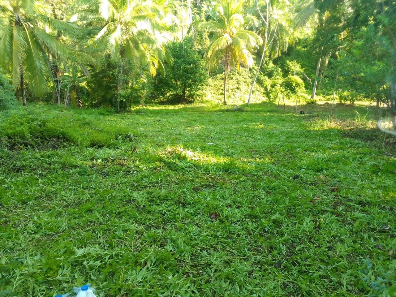 4a1c5636-ef86-4ae0-98a1-043c1d4f57a9