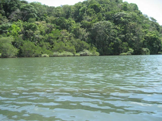 5ec35ef4-aee0-43b2-858b-d7fa21df718c