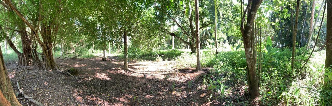 652b7f4e-819d-4f83-805a-a1d9c2912c62