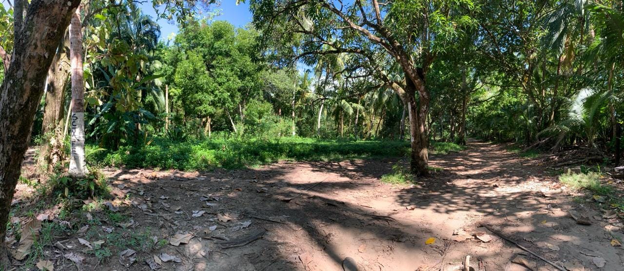 68cbf7ef-0806-400f-8184-d212a50fd530