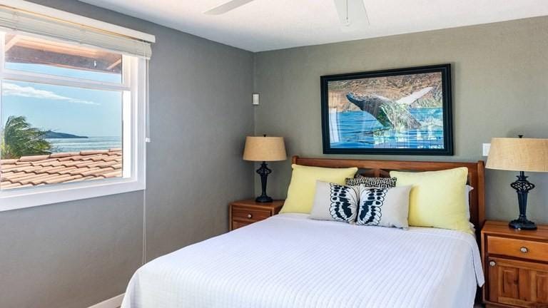 765a4538d5341fad3c3a31c81e499a29