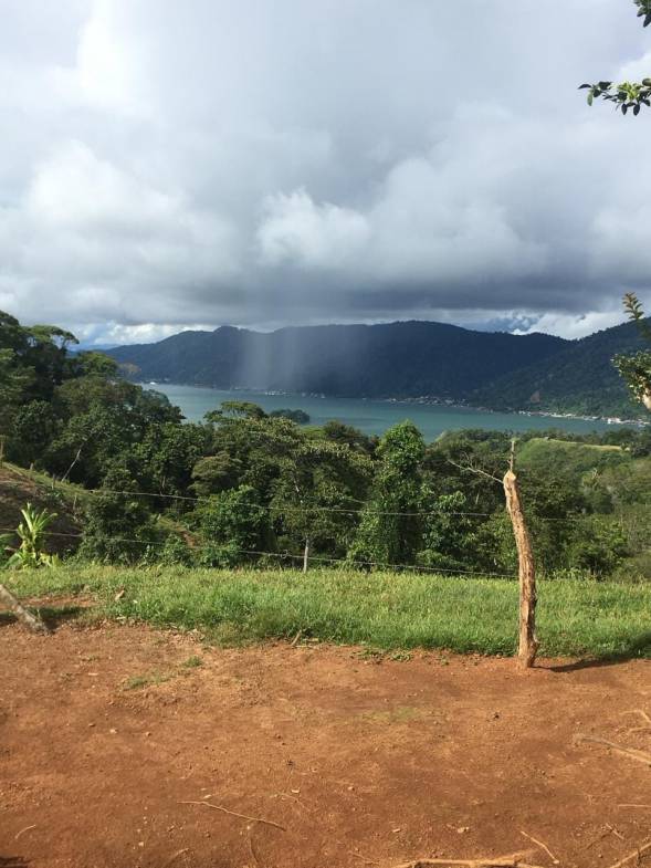 WhatsApp Image 2024-04-11 at 18.00.04