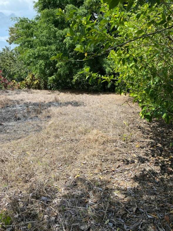 WhatsApp Image 2024-04-11 at 18.01.09 (1)