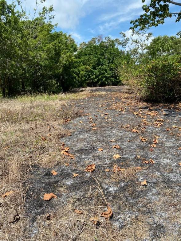 WhatsApp Image 2024-04-11 at 18.01.09 (2)