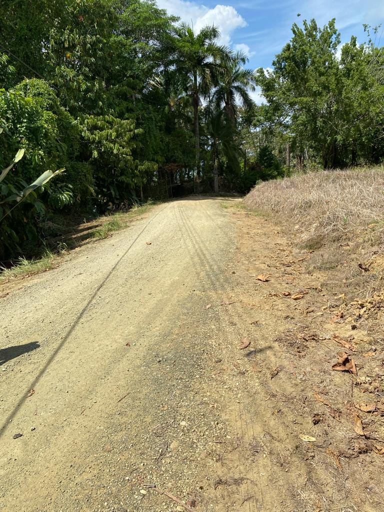 WhatsApp Image 2024-04-11 at 18.01.09 (4)