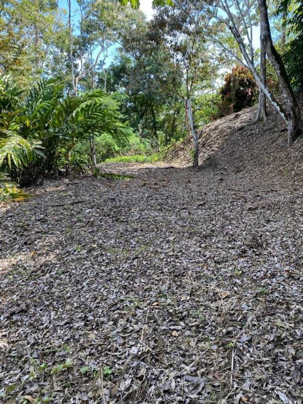 WhatsApp Image 2024-04-11 at 18.01.09