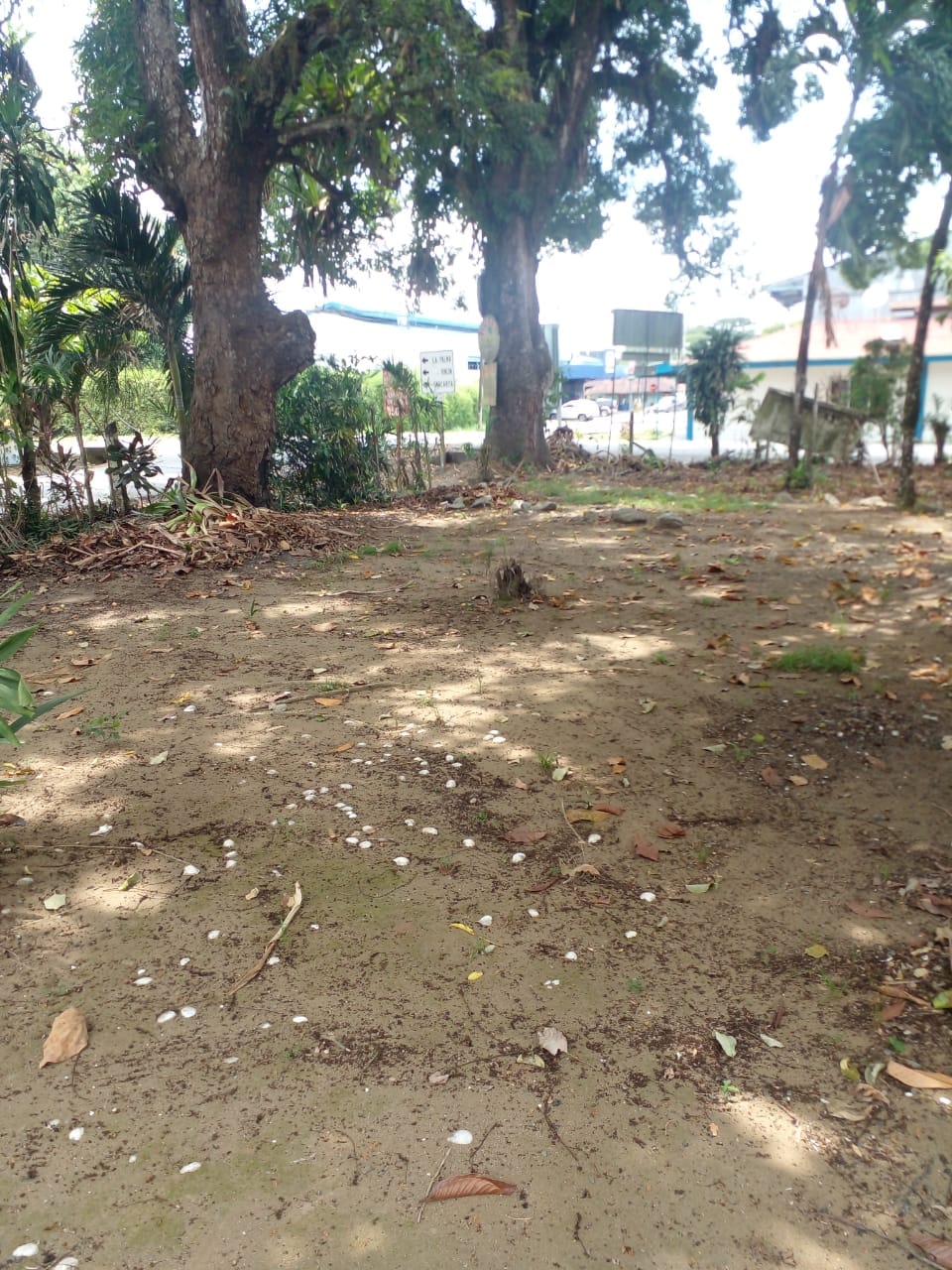 WhatsApp Image 2024-04-21 at 11.23.00 (1)