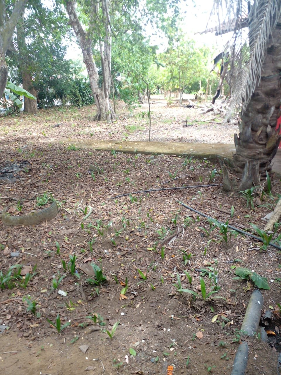 WhatsApp Image 2024-04-21 at 11.23.00 (2)