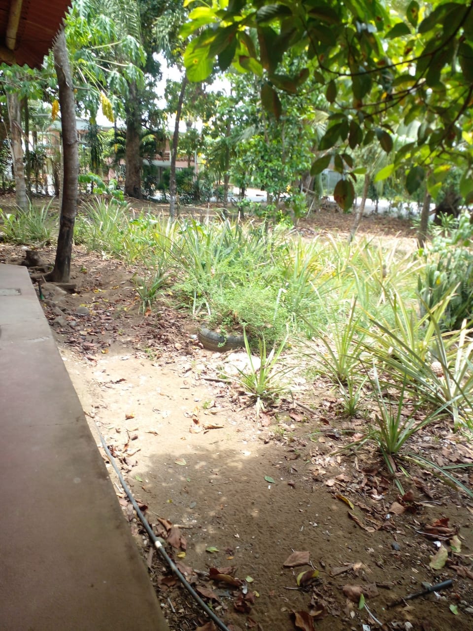 WhatsApp Image 2024-04-21 at 11.23.00 (3)