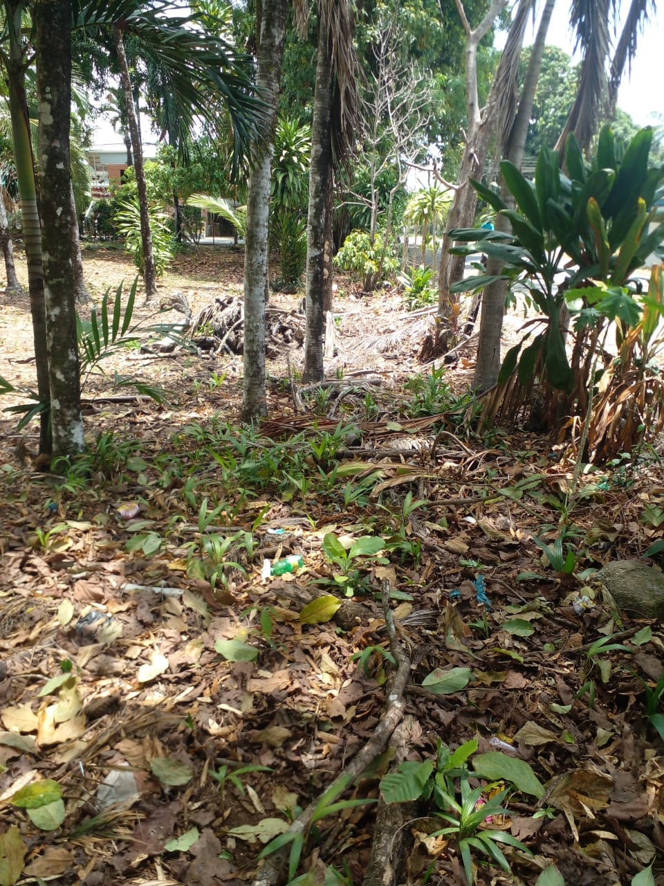 WhatsApp Image 2024-04-21 at 11.23.01 (1)