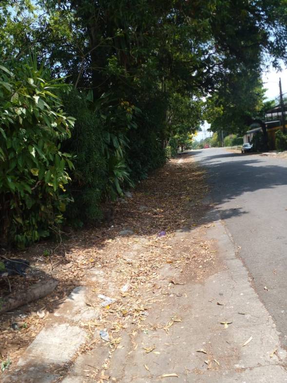 WhatsApp Image 2024-04-21 at 11.23.01 (3)