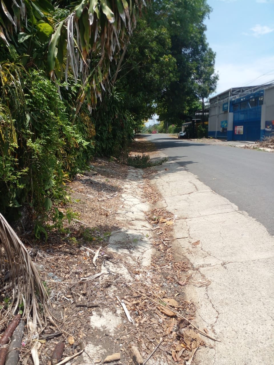 WhatsApp Image 2024-04-21 at 11.23.01 (4)