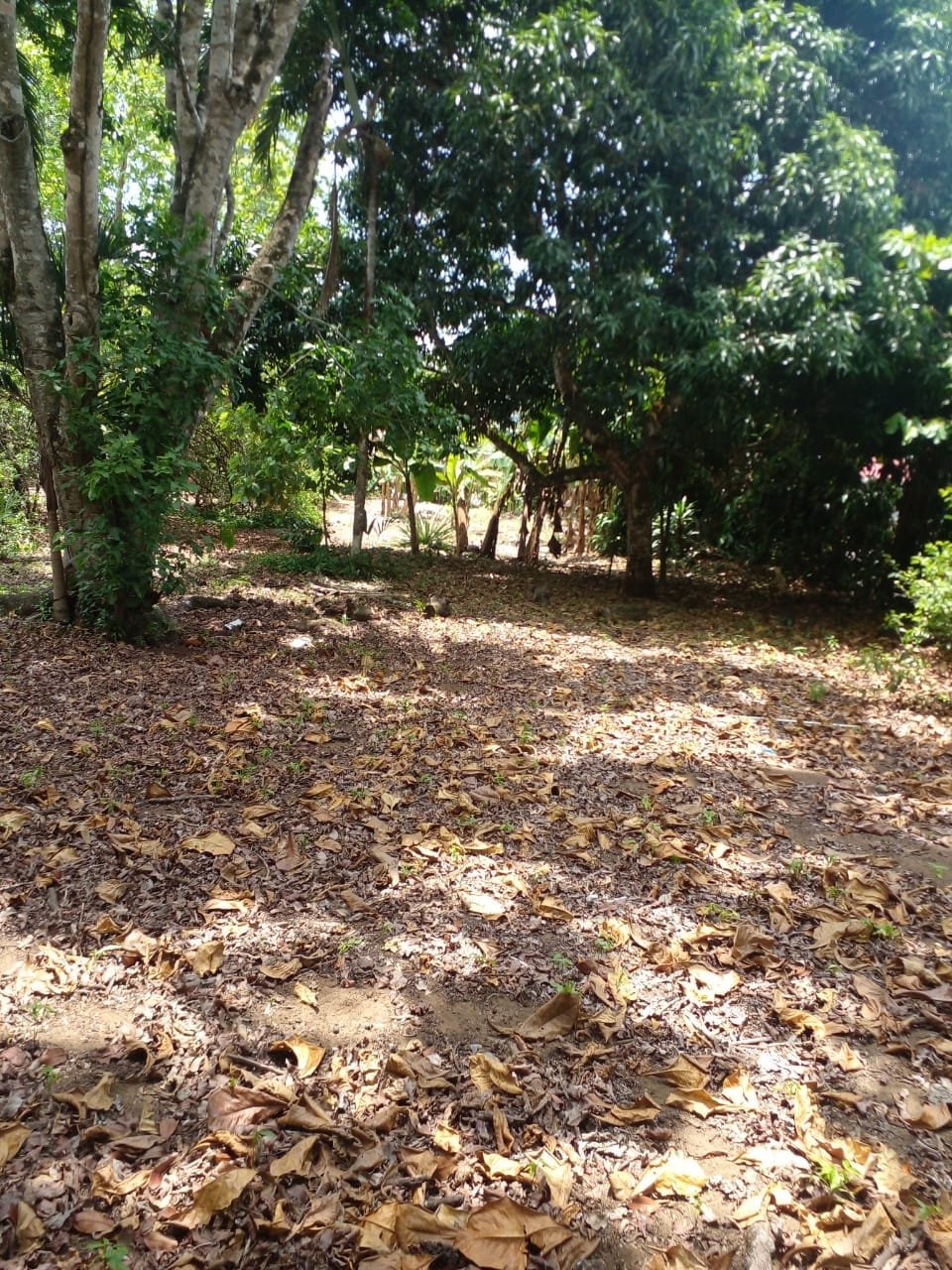 WhatsApp Image 2024-04-21 at 11.23.02 (1)