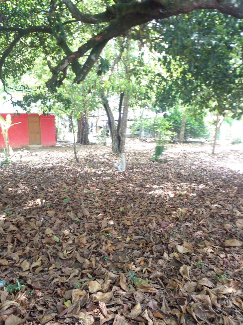 WhatsApp Image 2024-04-21 at 11.23.02 (2)