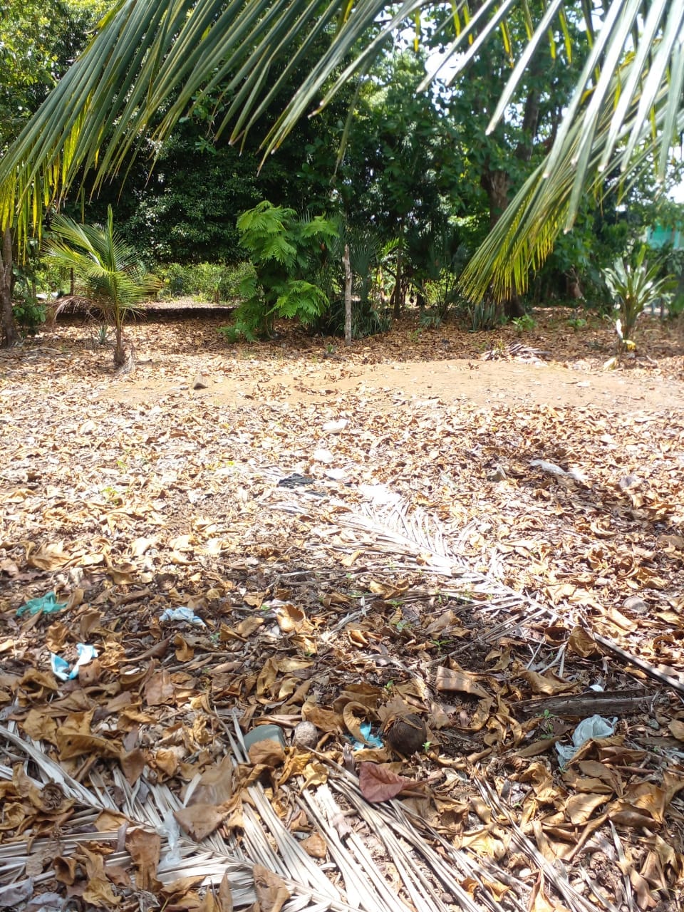 WhatsApp Image 2024-04-21 at 11.23.02 (3)