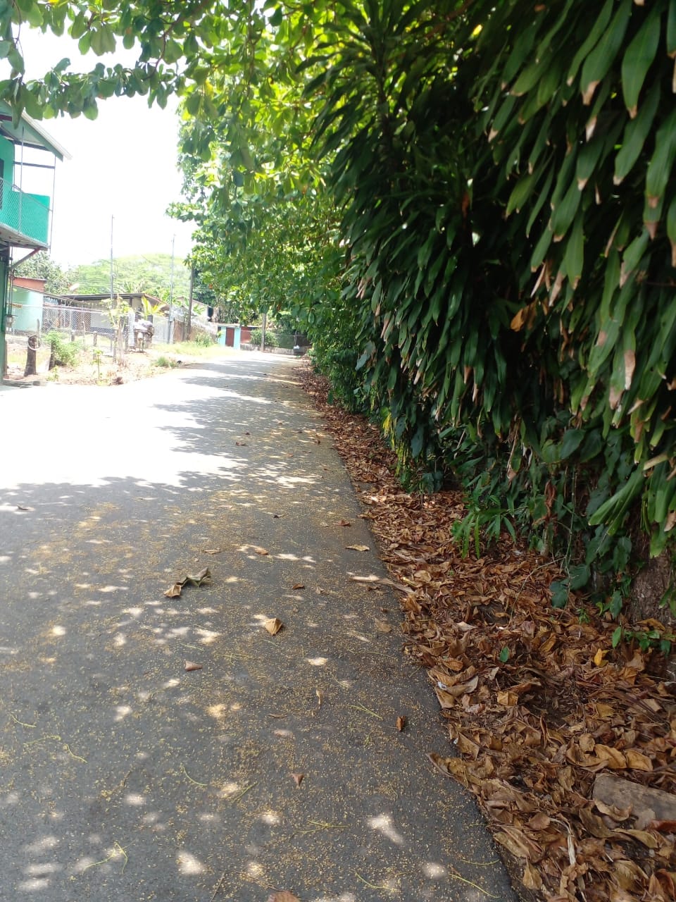 WhatsApp Image 2024-04-21 at 11.23.02