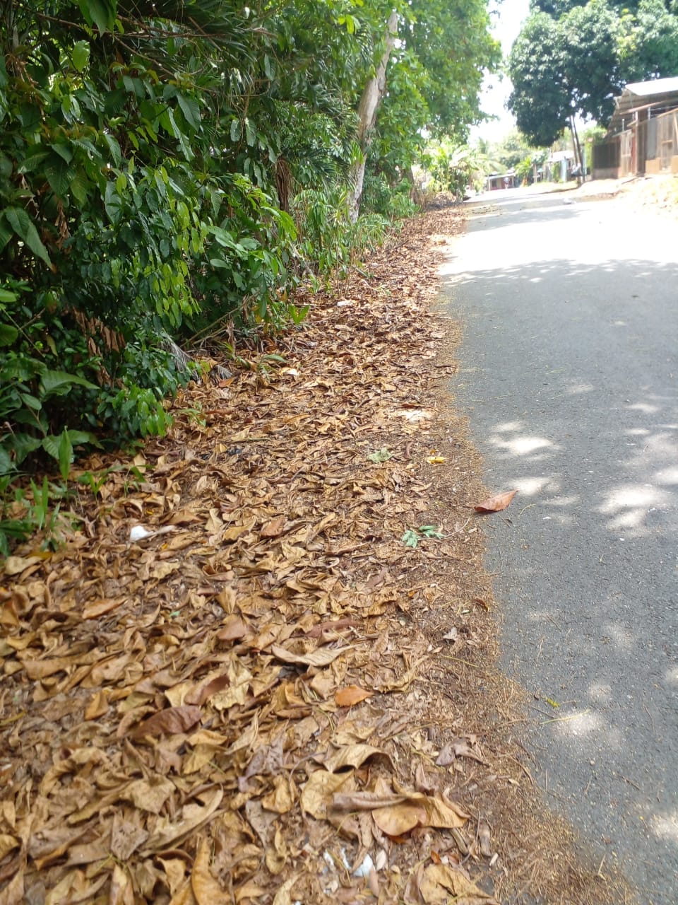 WhatsApp Image 2024-04-21 at 11.23.03 (1)