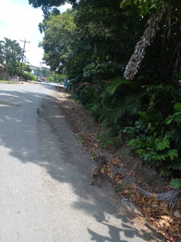 WhatsApp Image 2024-04-21 at 11.23.03 (3)