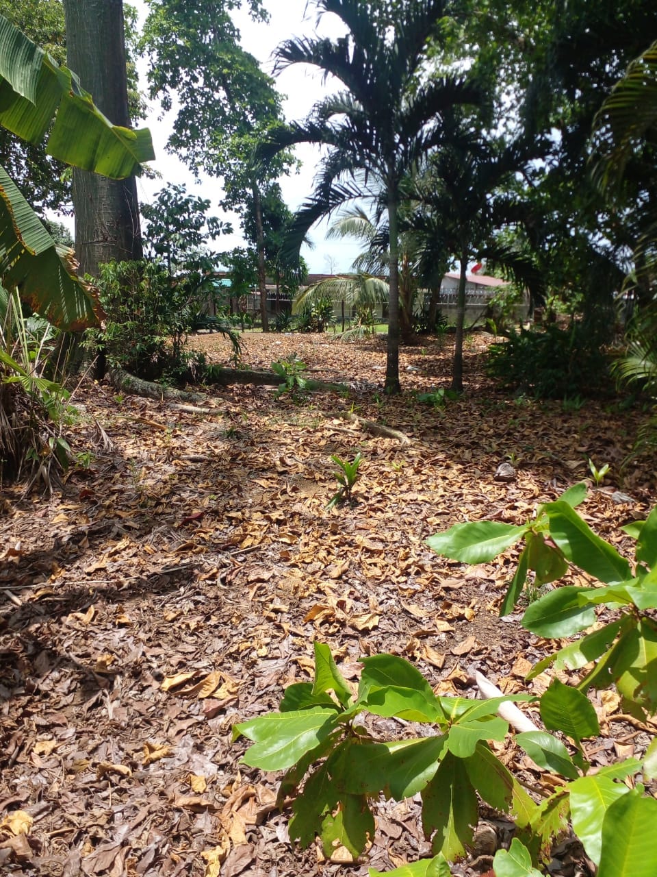 WhatsApp Image 2024-04-21 at 11.23.03