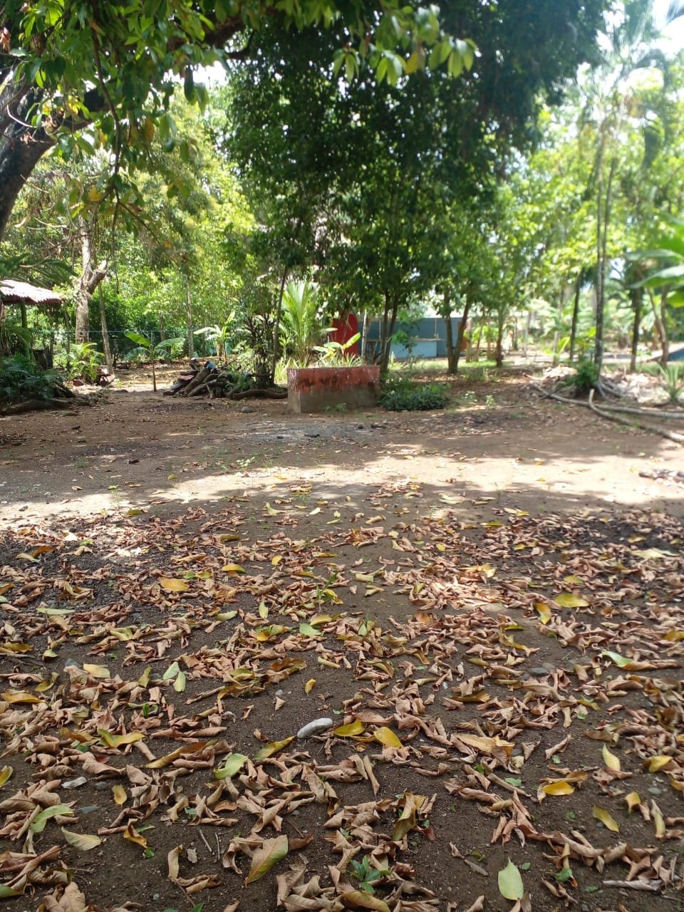 WhatsApp Image 2024-04-21 at 11.23.04 (2)