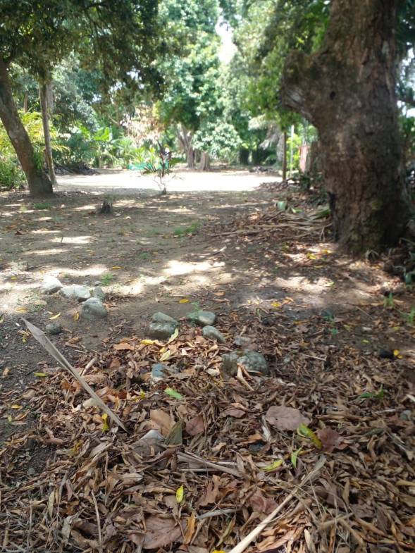 WhatsApp Image 2024-04-21 at 11.23.04 (5)