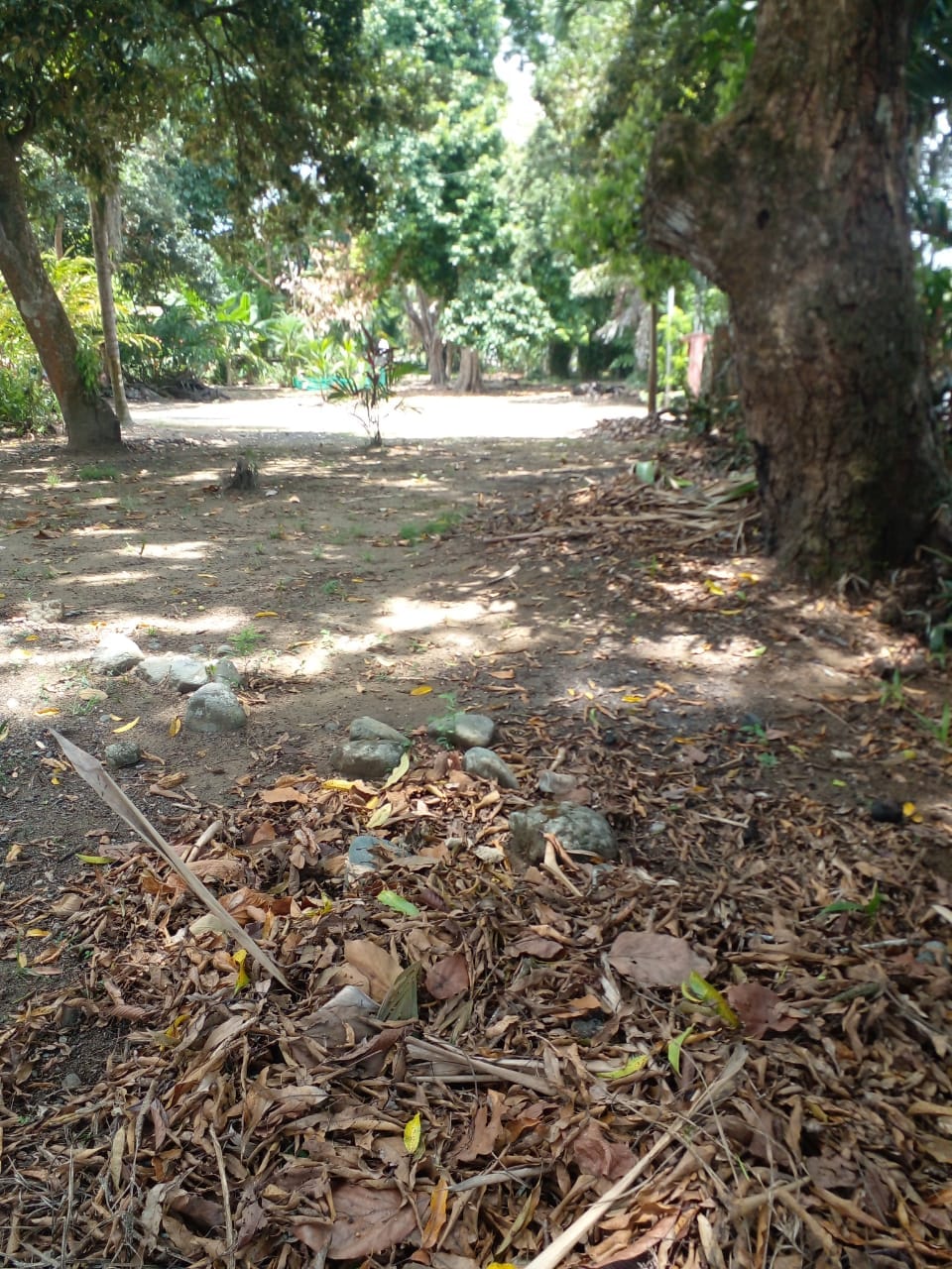 WhatsApp Image 2024-04-21 at 11.23.04 (5)