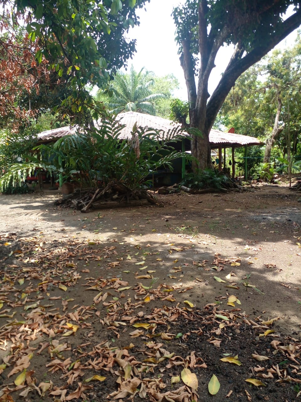 WhatsApp Image 2024-04-21 at 11.23.04