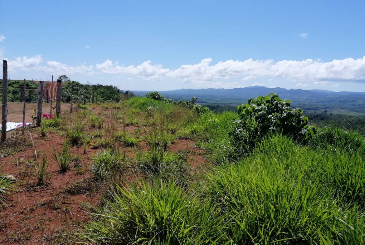 WhatsApp Image 2024-04-30 at 09.30.44 (1)-min