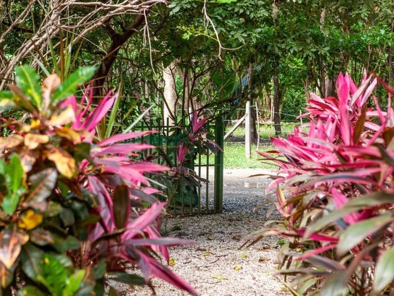 a90c892b-0638-4b70-b7cf-38d6bfe1ef77