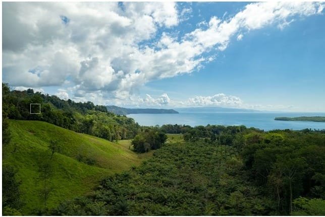 aceffe58-2a22-4d82-a741-59003471188e