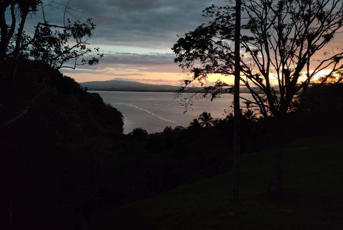 ae8a7425-906d-42a2-b8e2-ca77e5f0b70d