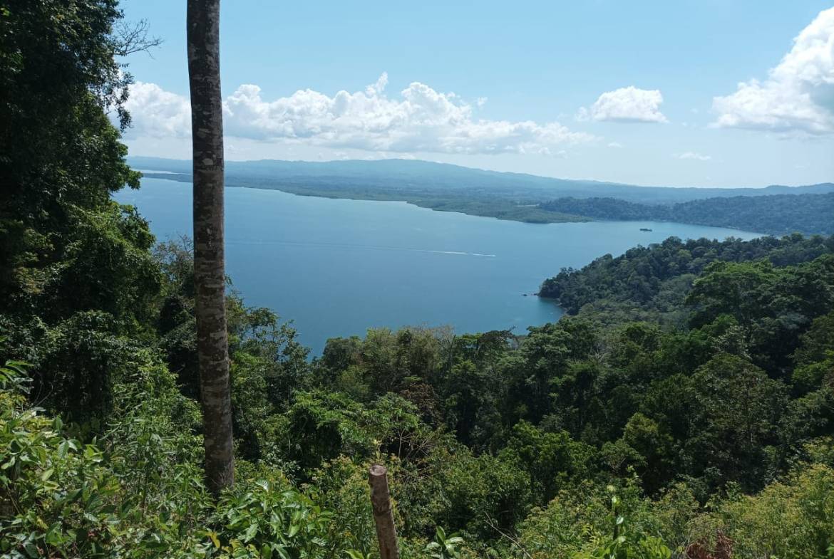 b54b9021-ccb1-42d9-8bcd-a125f8311c15