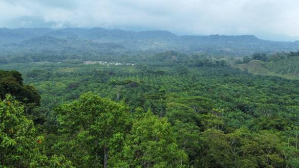 c5603625-c03e-41ba-9118-7ed4ec452636-min