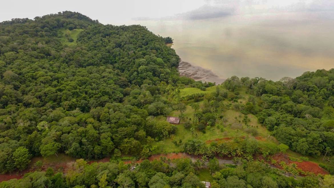 c90f5ac9-2f0f-4ef9-8bd7-a8d007ede787