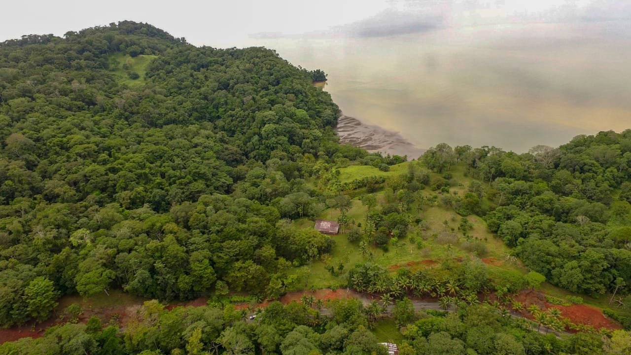 c90f5ac9-2f0f-4ef9-8bd7-a8d007ede787