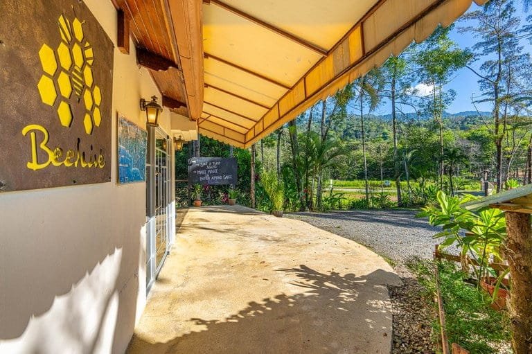 cs2300018_img-2_large