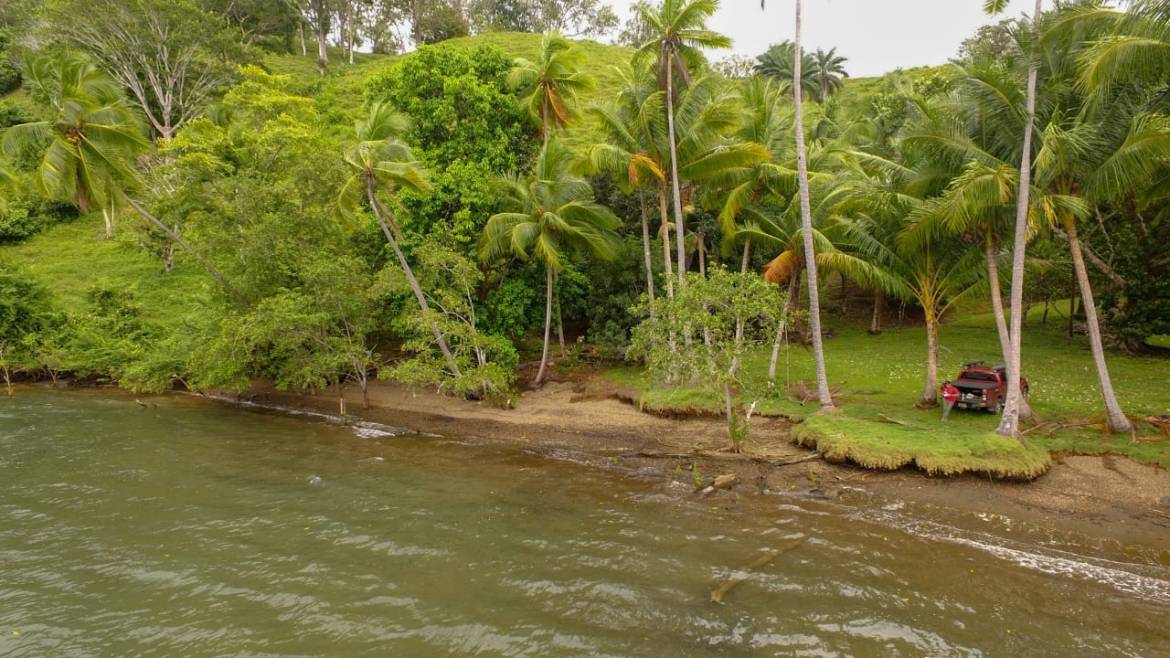 d4a35246-ee02-4502-ac03-a2c506711f23