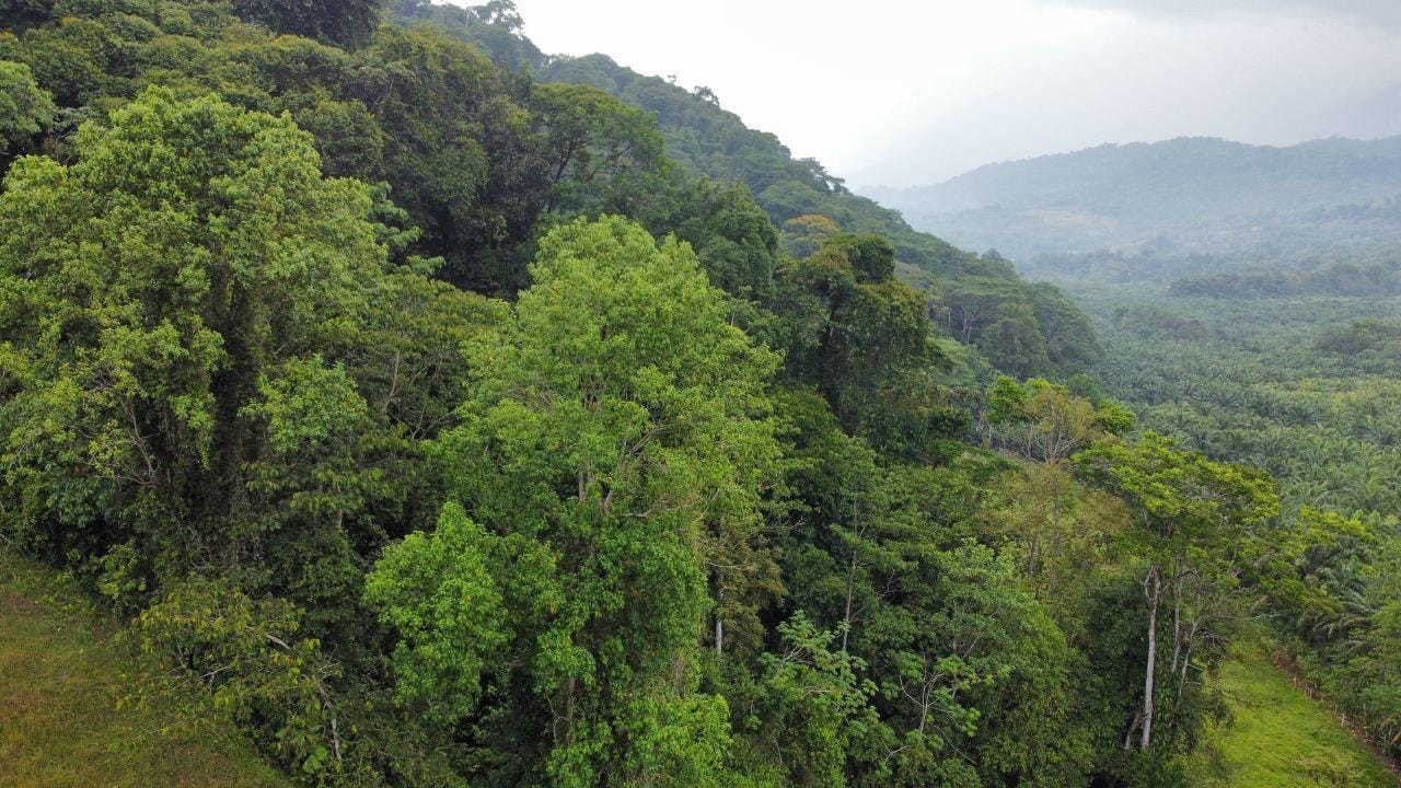 d5684bb2-5b50-4af2-9994-5946c541fa06-min