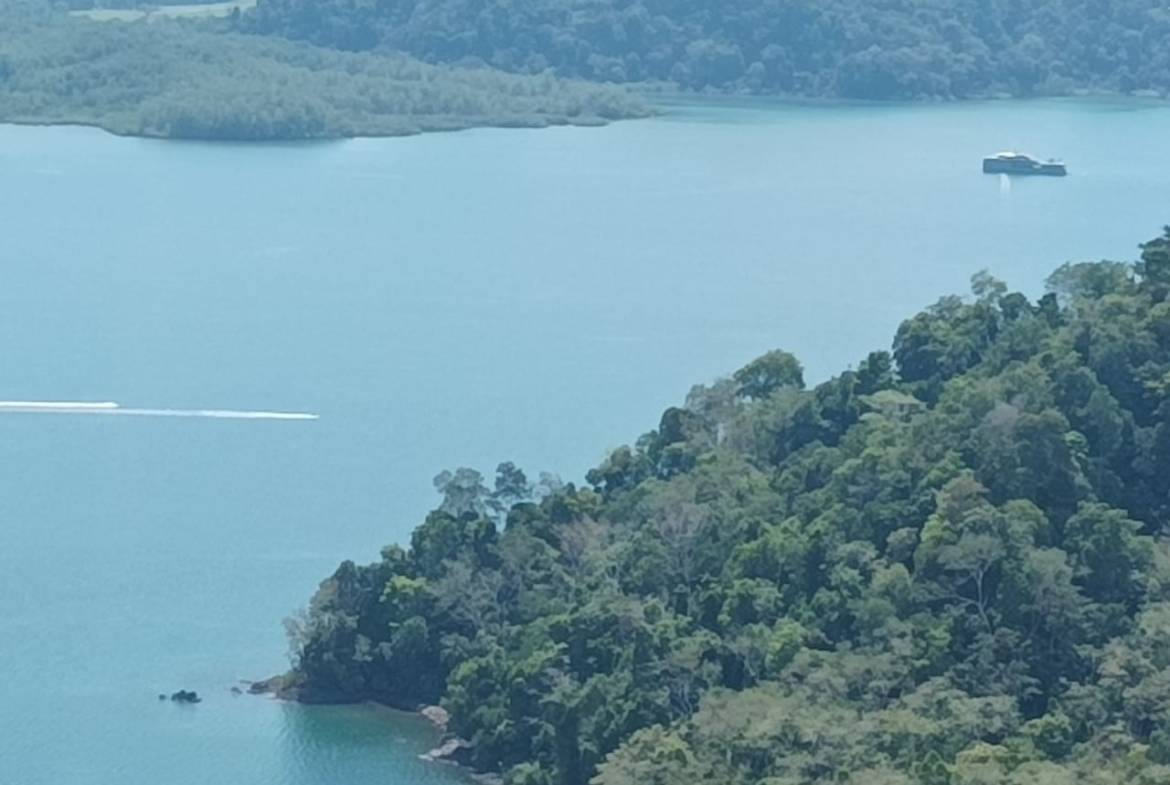 d651347c-a1d8-4bfc-9ebd-3cda8594a082