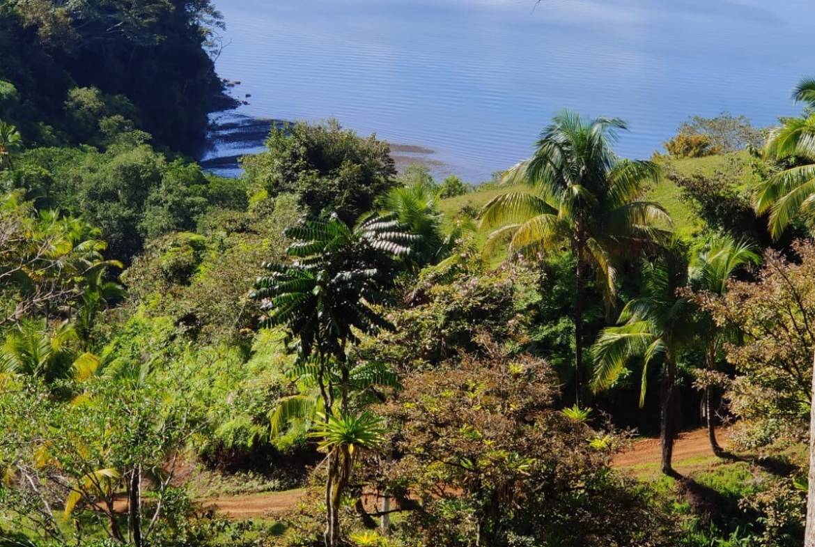 da7aa737-11f1-4e07-ab40-7cbb4b432c8f