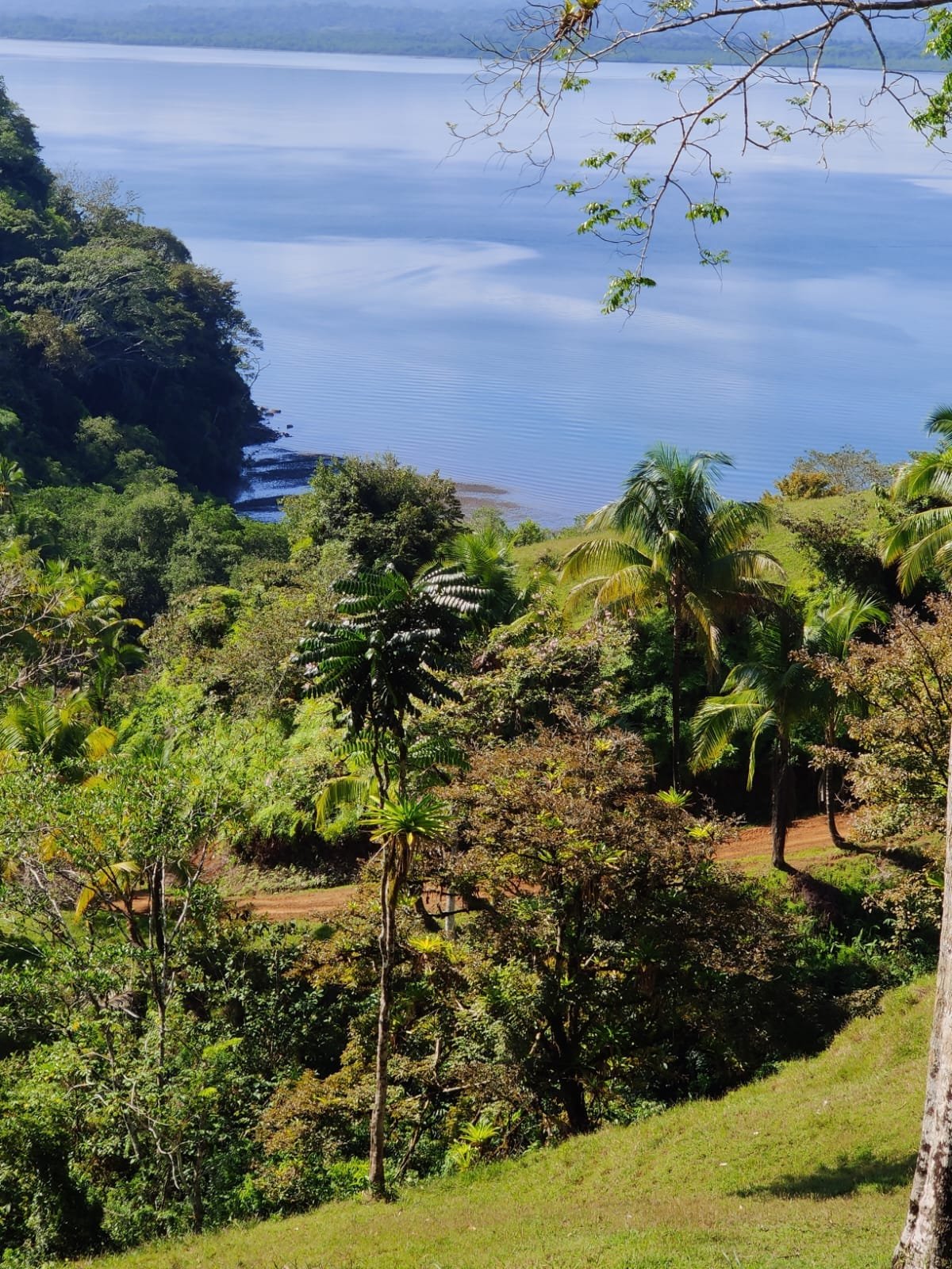 da7aa737-11f1-4e07-ab40-7cbb4b432c8f