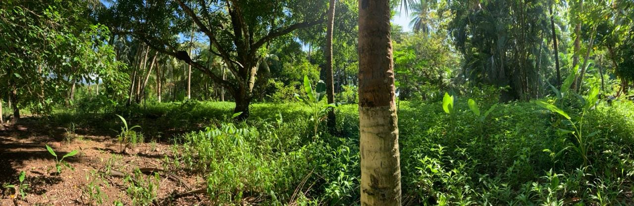 eff9e6e5-6dc0-4c74-a8b7-6ef4b7f6c58f