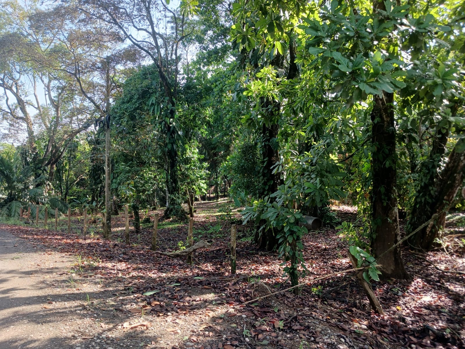 02c53a5a-59be-4f56-bc7c-f575245381de-min