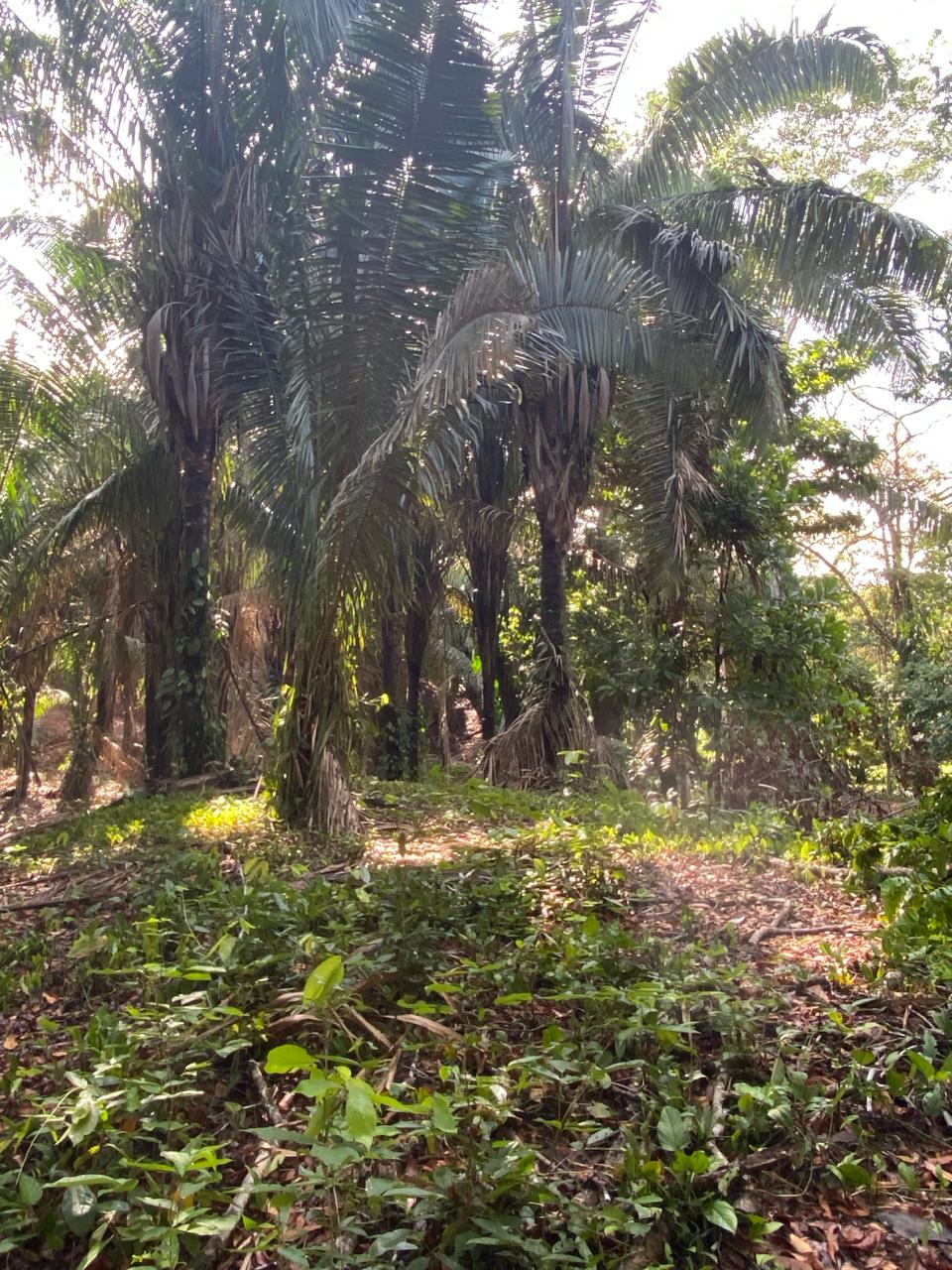 0fffc713-1e90-4114-9773-a64cde1181f3-min